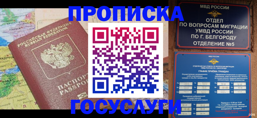 прописка регистрация в Орехово-Зуево